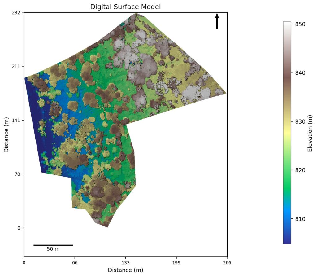 Digital Surface Model (DSM) showing canopy height variation across the plantation