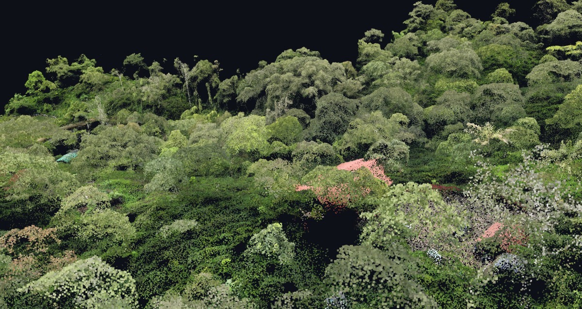 Oblique view of a 3D digital twin point cloud showing tree crowns and buildings