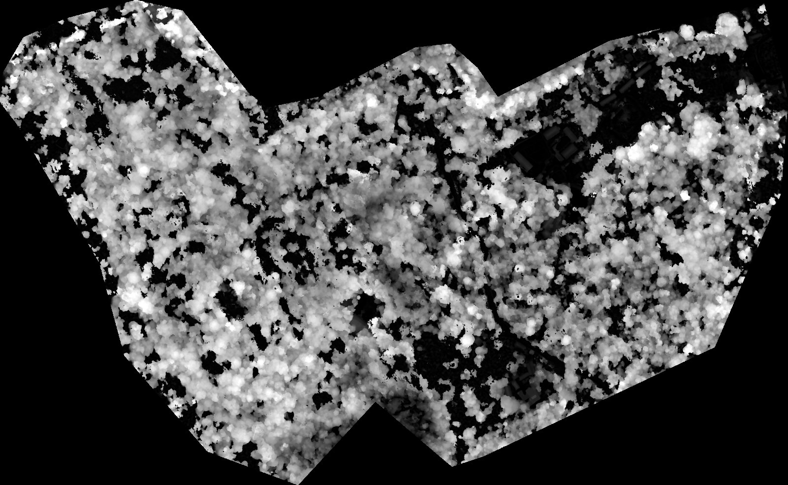 Generate a Canopy Height Model (CHM) from DSM and DTM in QGIS