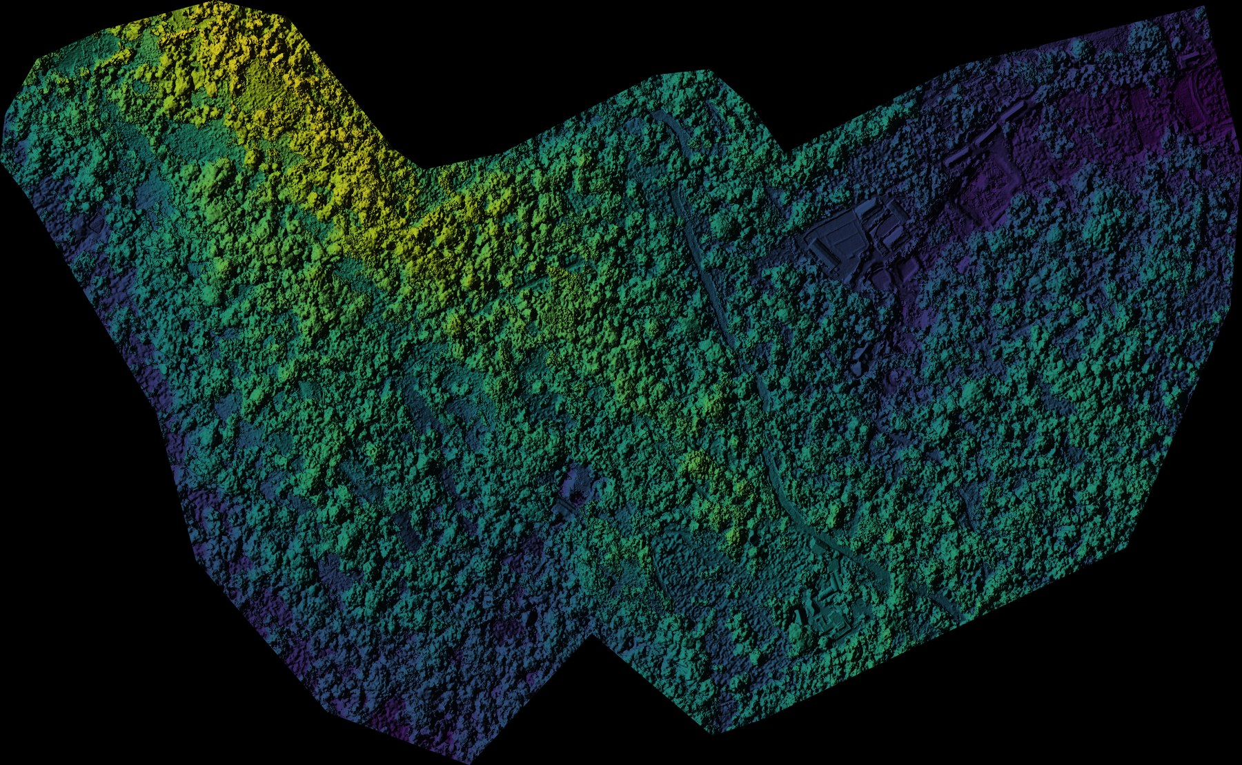 DSM hillshade of a forested estate, coloured by elevation, canopy visible as texture