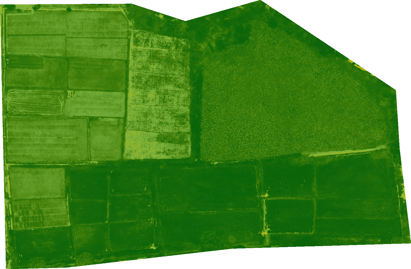 Raw NDVI raster before masking — every pixel is coloured, including bare soil and low-vegetation areas