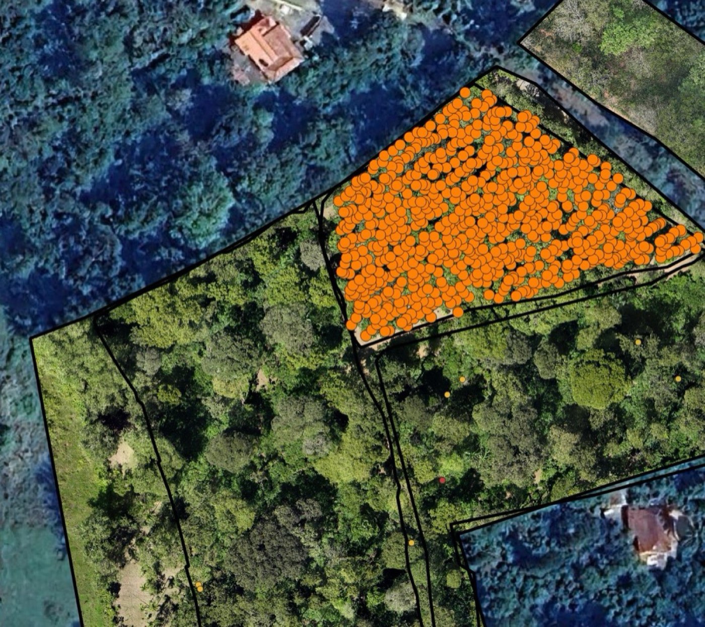 Individual plant detection & count
