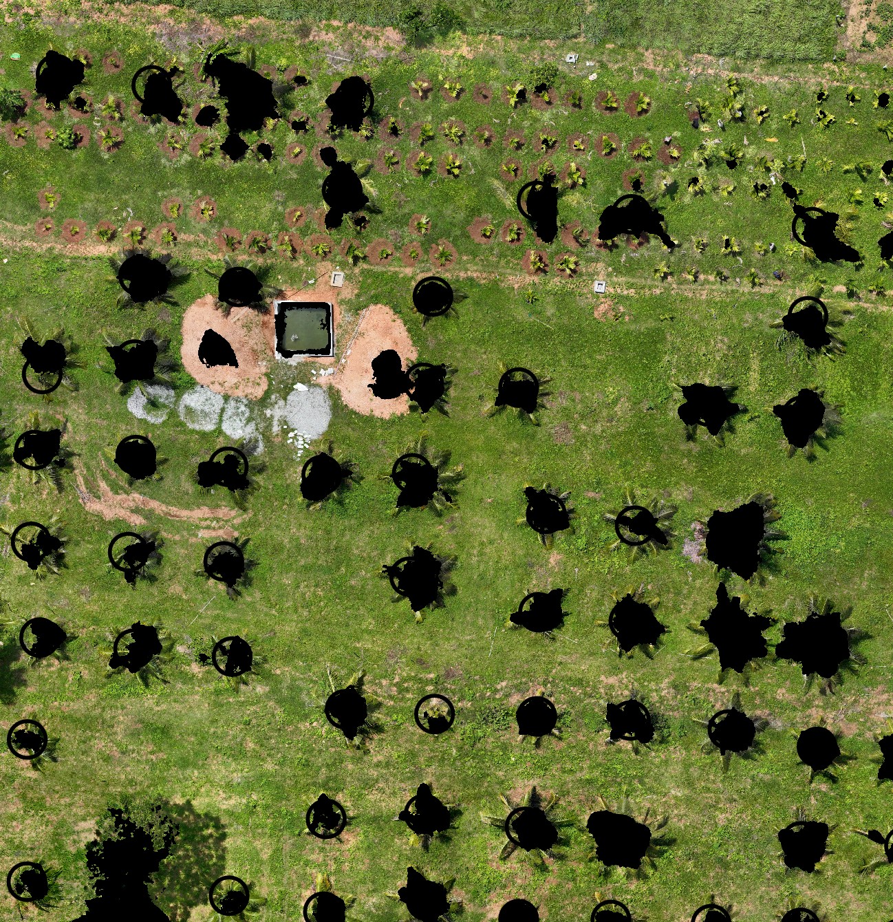 Generate a Canopy Mask from DSM and DTM in QGIS