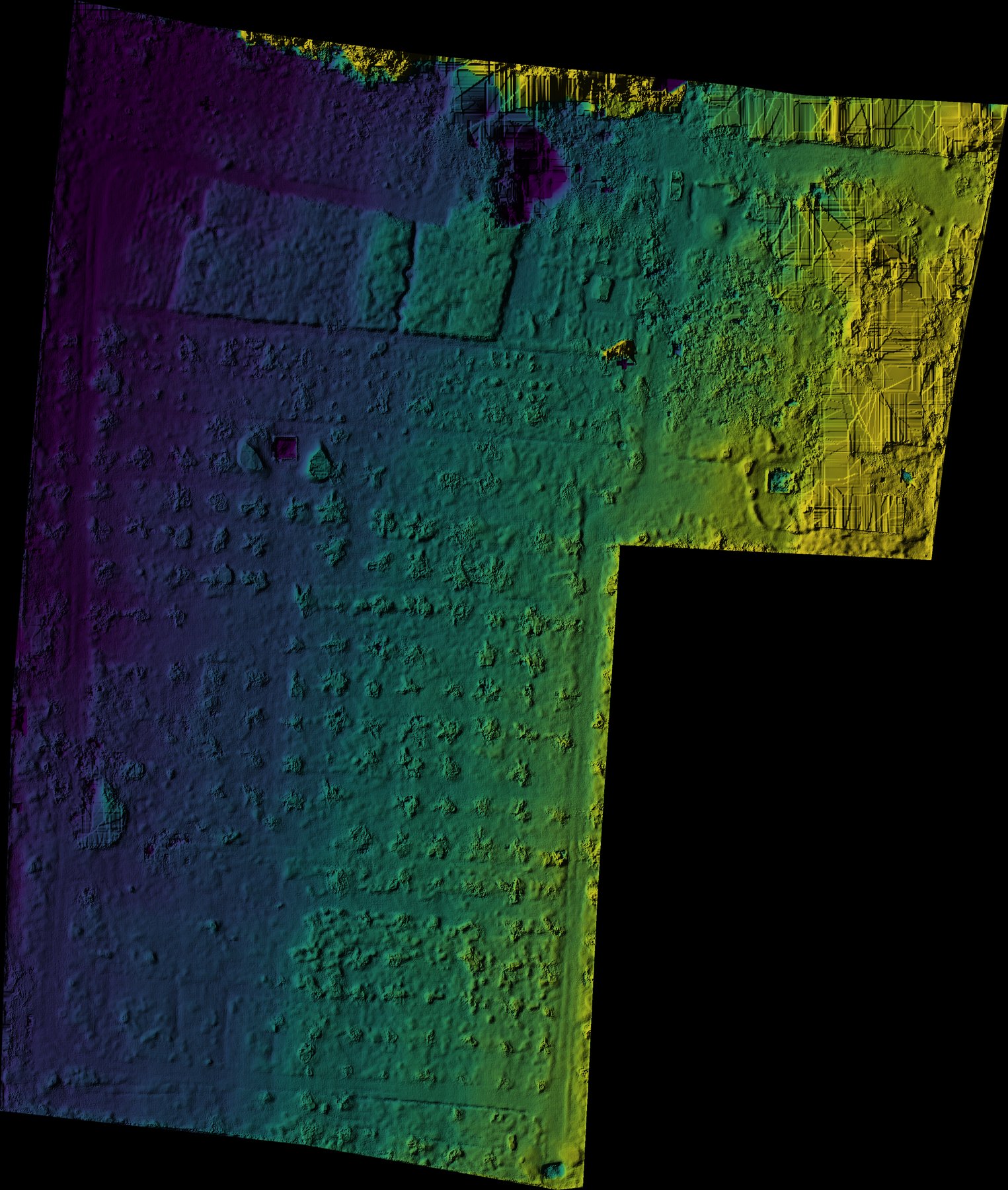 DTM hillshade of the same site — bare ground elevation with canopy stripped out, the reference surface height is measured against
