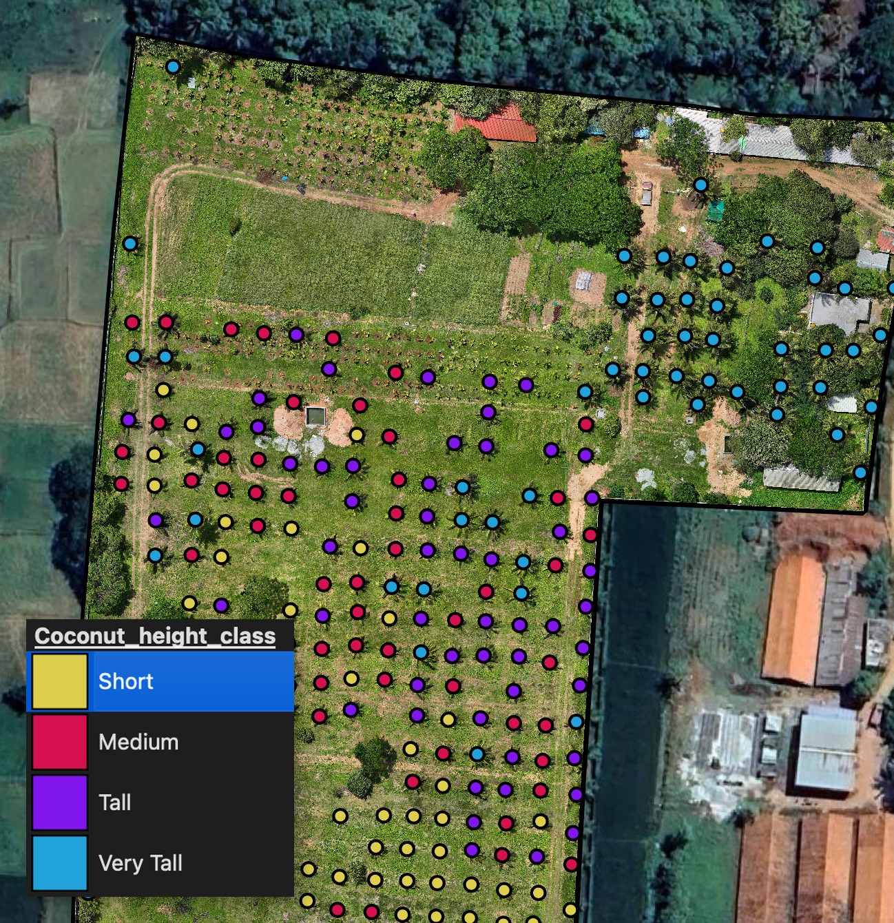 Extract Tree Heights from DSM and DTM in QGIS