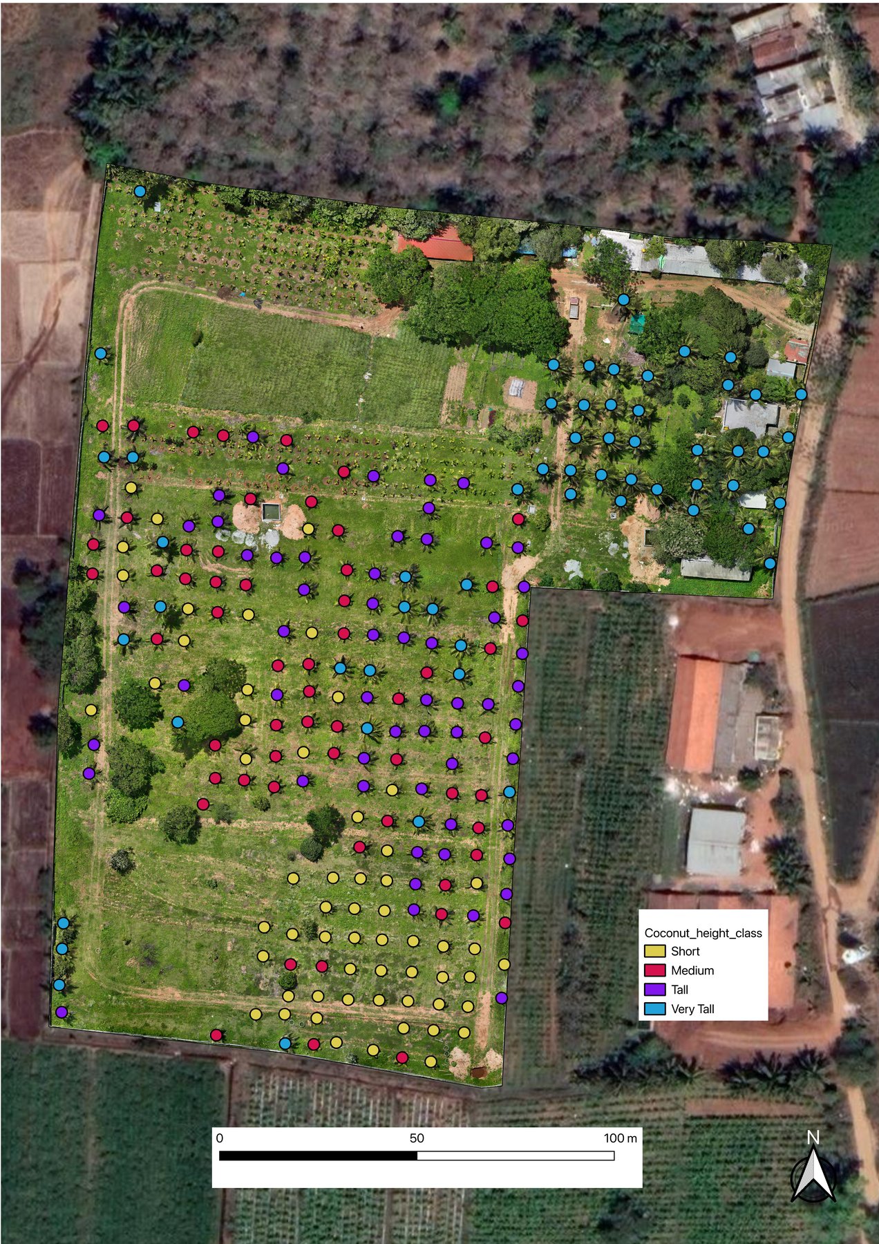 The same plantation classified by tree height instead — Short/Medium/Tall/Very Tall