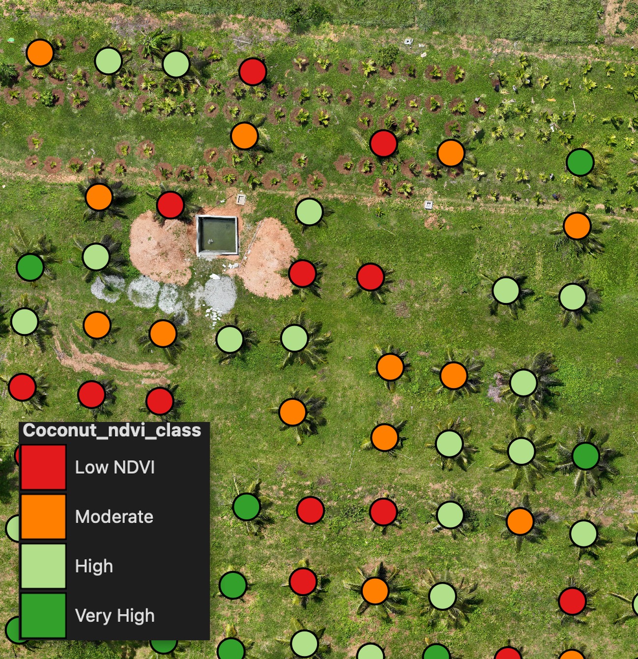 Compute Canopy-Only NDVI per Plot in QGIS (Ignoring Bare Soil)